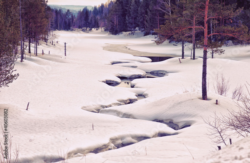 Photo: winter landscape winter landscape
