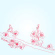 Vector: background with sakura flowers background with sakura flowers