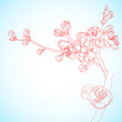 background with sakura flowers