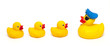 rubber pirate and baby ducks