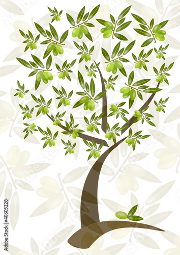 Illustration: ulivo ulivo