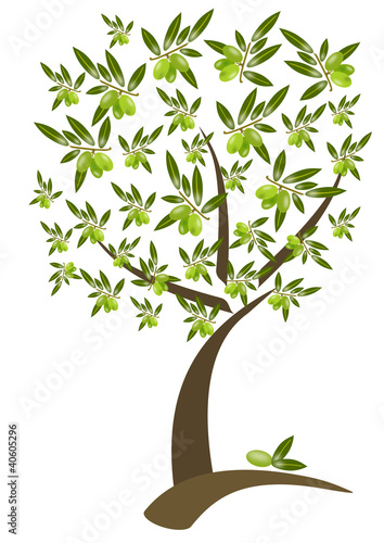 Illustration: ulivo ulivo