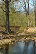 Landschaft 206