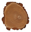 Cross section of tree trunk isolated on white