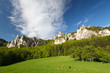 Summer in mountains, rock, green bush, trees and a grass