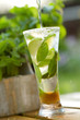 Fresh water with mint