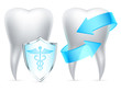 Vector: Two teeth protected by shield and arrows. Two teeth protected by shield and arrows.