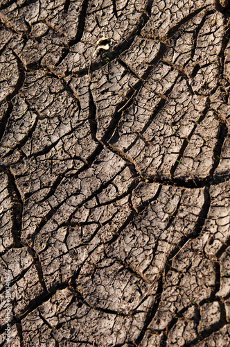 Photo: texture texture