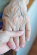 a young and senior hands holding each other a young and senior hands holding each other