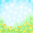 Flowers and sky, background