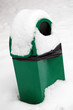 Dog's toilet in snow