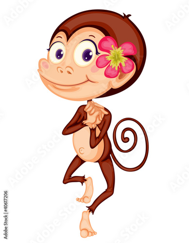 Vektor: Monkey Monkey