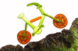 Mountain Biking to Health