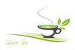 Vector: green tea, tea leaves , business logo design green tea, tea leaves , business logo design