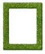 Grass Frame