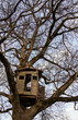 old tree house old tree house