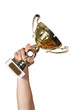 Golden trophy