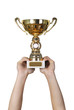 Photo: Golden trophy Golden trophy