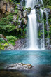 Cascades du bassin des Aigrettes - La Réunion