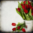 red tulips