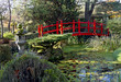 Bridge of Life in Kildandre Japanese Gardens