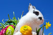 Osternhase