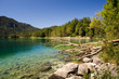 Eibsee Bergsee Traum Idylle blau azur anblick Wald
