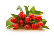 Blumen,Tulpen