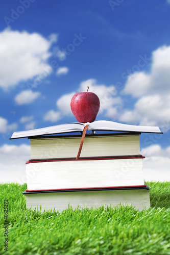 Photo: Summer reading Summer reading