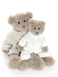 Two teddybears