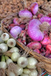 onion basket