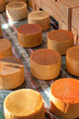 Cheese