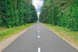 Road in forest Road in forest