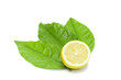 Lemon fruit decorated with leaves on white