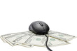 Online money concept