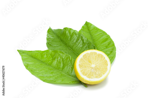 Photo: Lemon fruit decorated with leaves on white Lemon fruit decorated with leaves on white