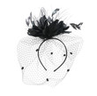 Black burlesque veil isolated on a white background.