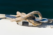 Mooring line attached to the sailing yacht cleat