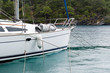 Charter sailing yacht at moorings in rainy morning