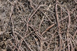 Chaos from red long roots Chaos from red long roots
