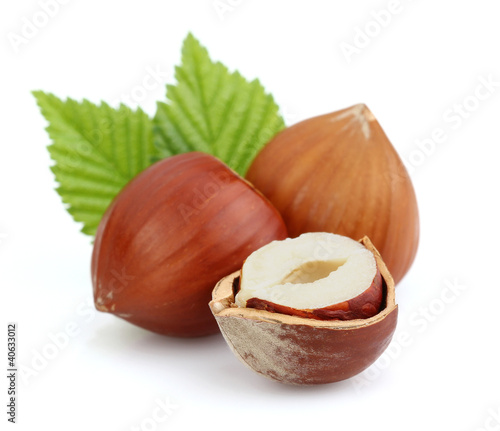 Photo: Hazelnuts with leaves Hazelnuts with leaves