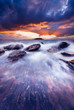 Splash of Colour