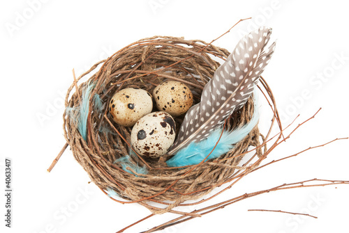 Photo: quail eggs quail eggs