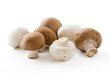 Braune und weiße Champignons