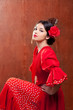 Flamenco dancer Spain woman gipsy with red rose Flamenco dancer Spain woman gipsy with red rose