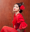 Flamenco dancer Spain woman gipsy with red rose Flamenco dancer Spain woman gipsy with red rose