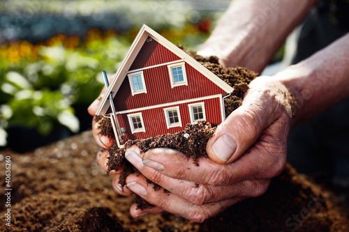 Foto: planting the house planting the house