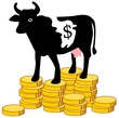 Cashcow