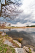 Teich