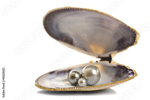 Photo: Beautiful pearls in a seashell Beautiful pearls in a seashell